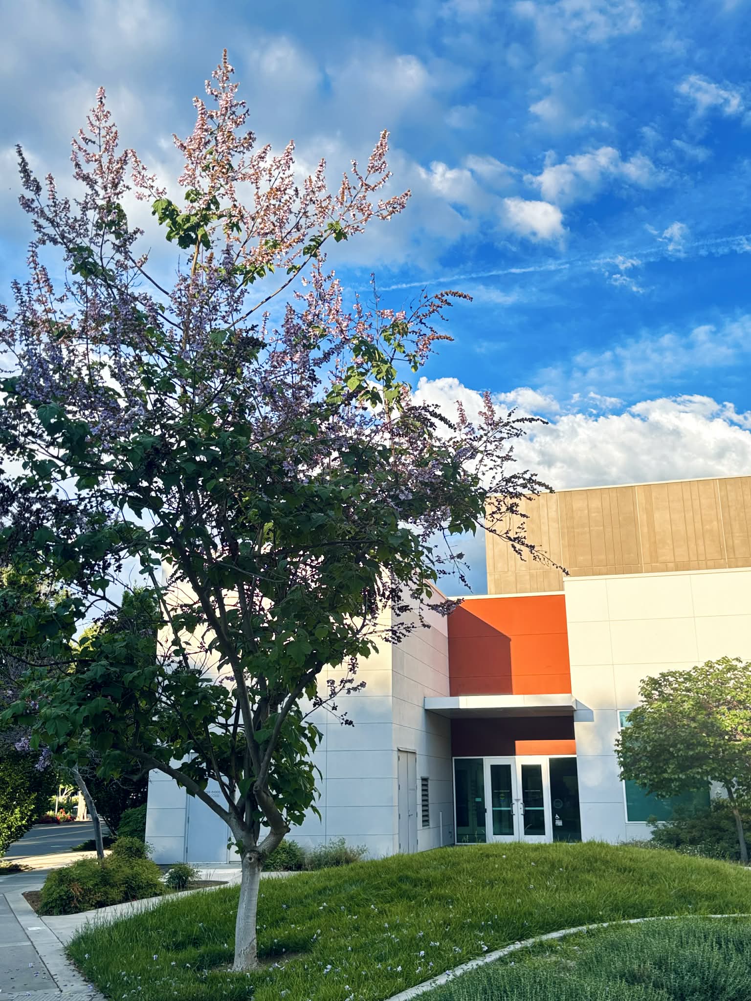 Videography & Photography work by Yareli Lozano