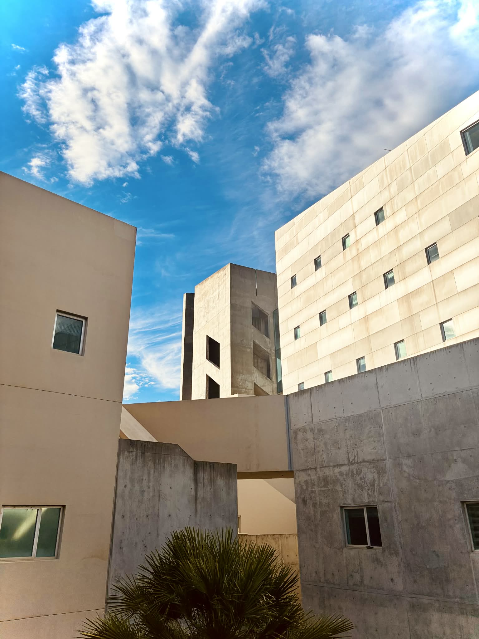 Videography & Photography work by Yareli Lozano