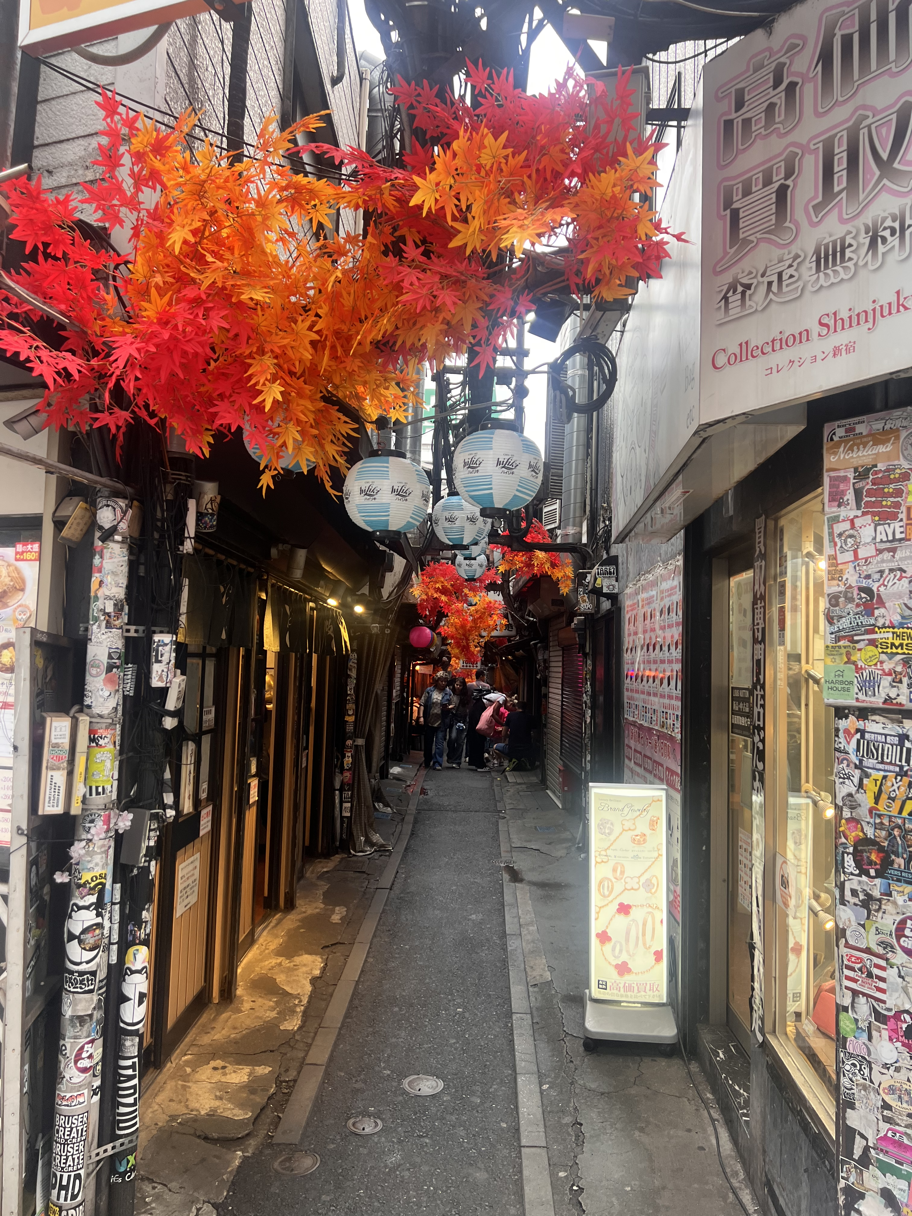 Videography & Photography work by Yareli Lozano