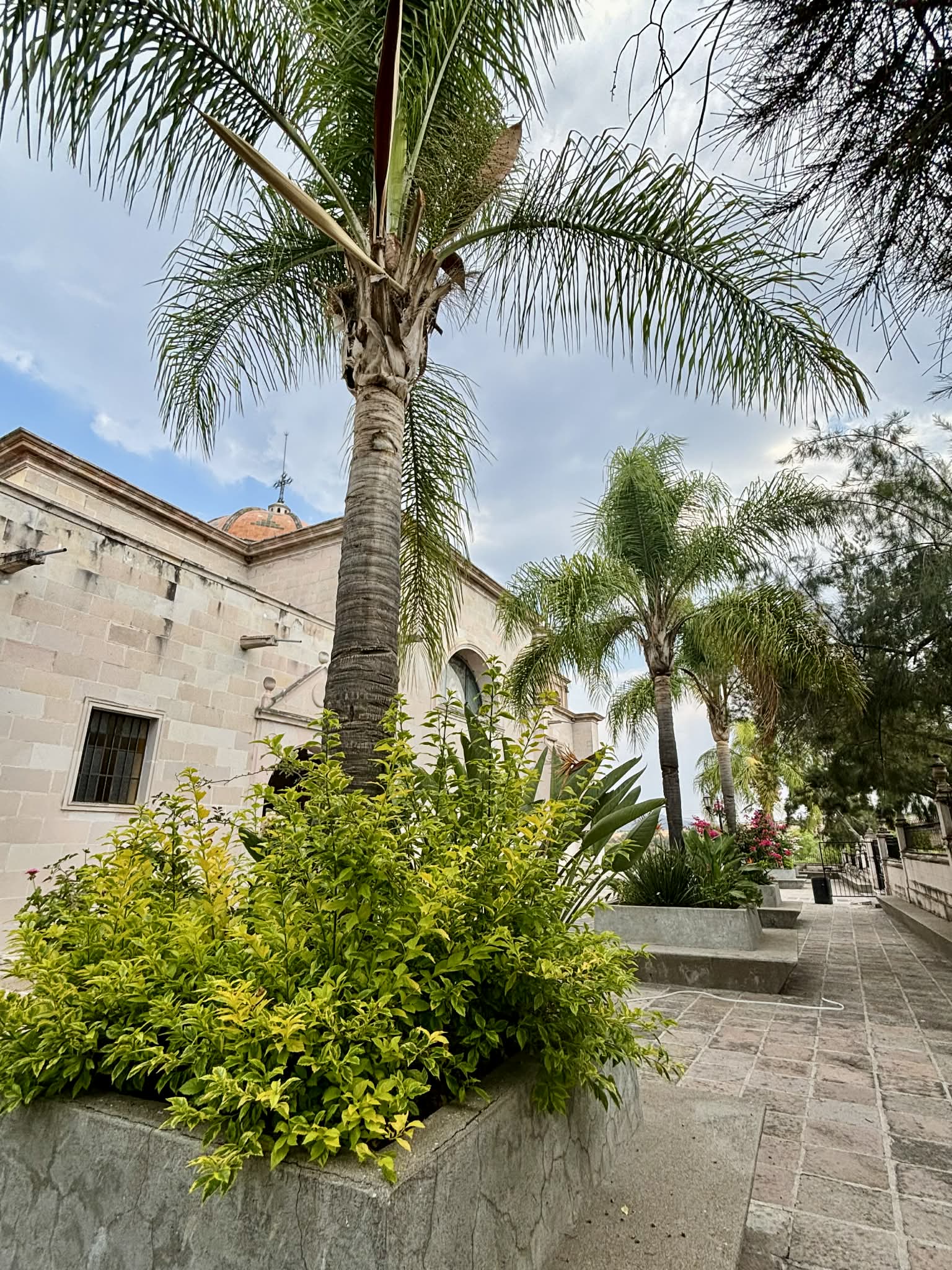 Videography & Photography work by Yareli Lozano