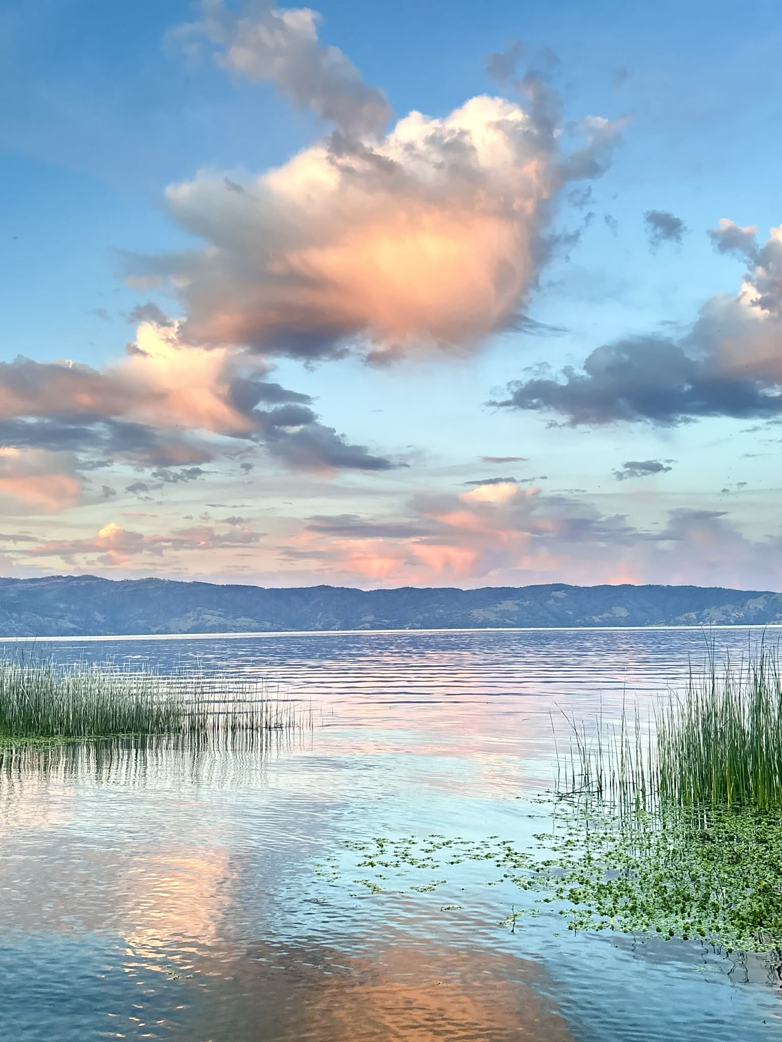 Videography & Photography work by Yareli Lozano