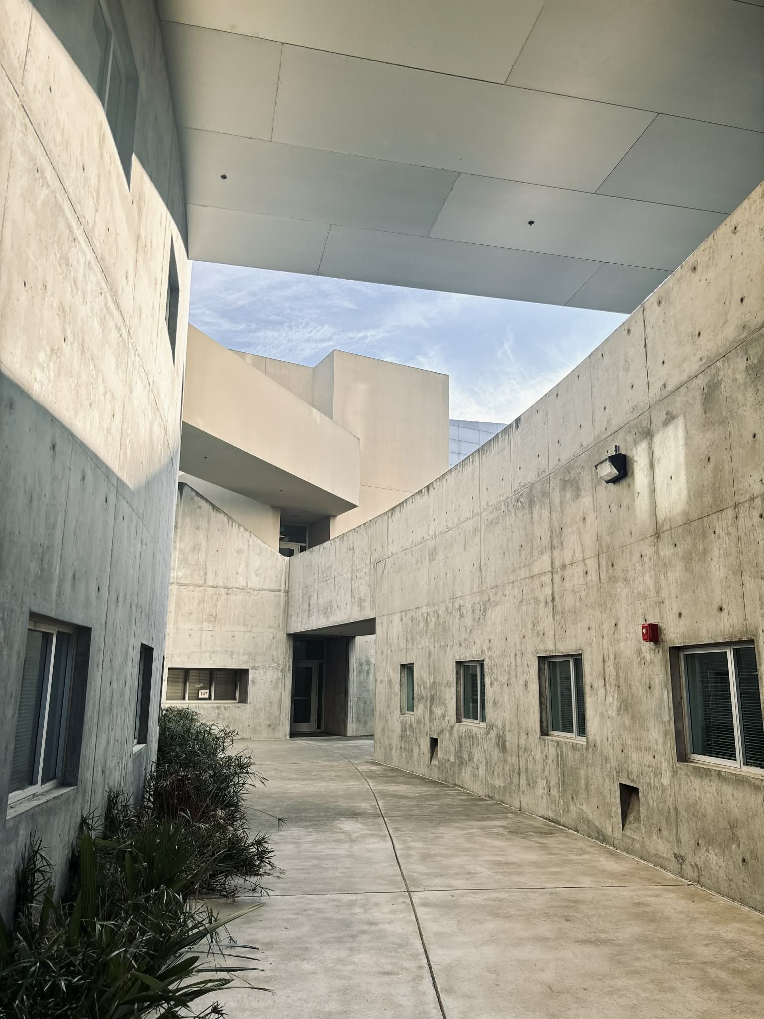 Videography & Photography work by Yareli Lozano